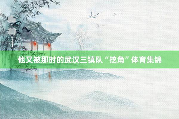 他又被那时的武汉三镇队“挖角”体育集锦