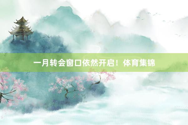 一月转会窗口依然开启！体育集锦
