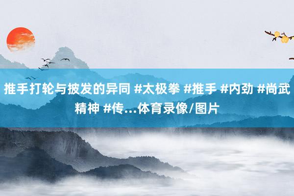 推手打轮与披发的异同 #太极拳 #推手 #内劲 #尚武精神 #传...体育录像/图片