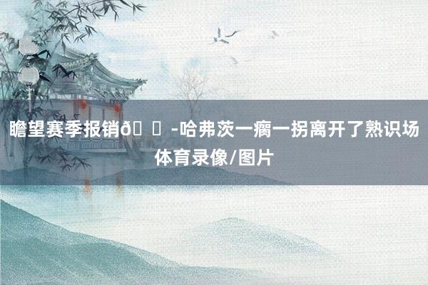 瞻望赛季报销😭哈弗茨一瘸一拐离开了熟识场体育录像/图片