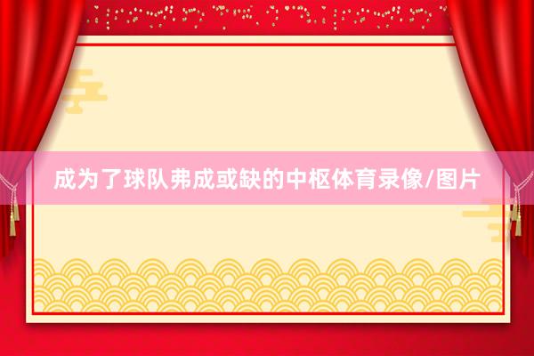 成为了球队弗成或缺的中枢体育录像/图片