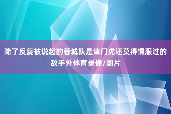 除了反复被说起的蓉城队是津门虎还莫得慑服过的敌手外体育录像/图片