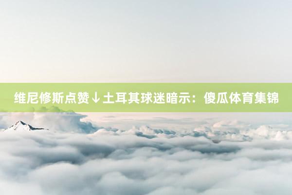 维尼修斯点赞↓土耳其球迷暗示：傻瓜体育集锦