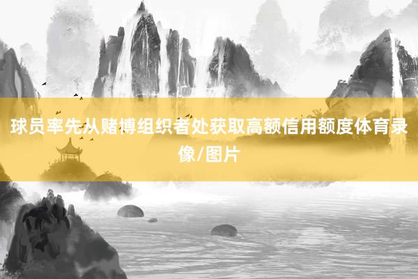 球员率先从赌博组织者处获取高额信用额度体育录像/图片