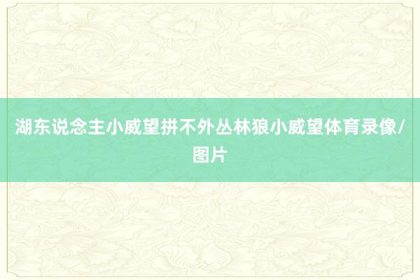 湖东说念主小威望拼不外丛林狼小威望体育录像/图片