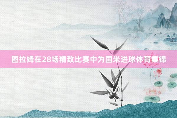 图拉姆在28场精致比赛中为国米进球体育集锦