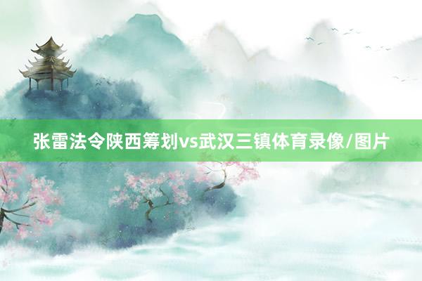 张雷法令陕西筹划vs武汉三镇体育录像/图片