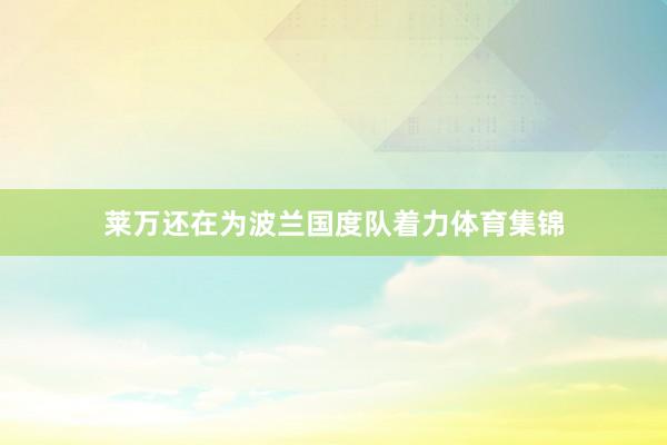 莱万还在为波兰国度队着力体育集锦