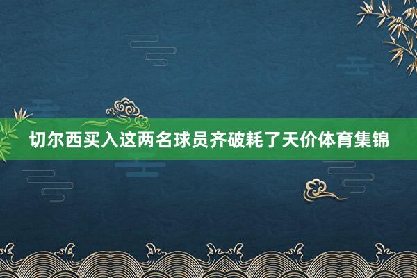 切尔西买入这两名球员齐破耗了天价体育集锦