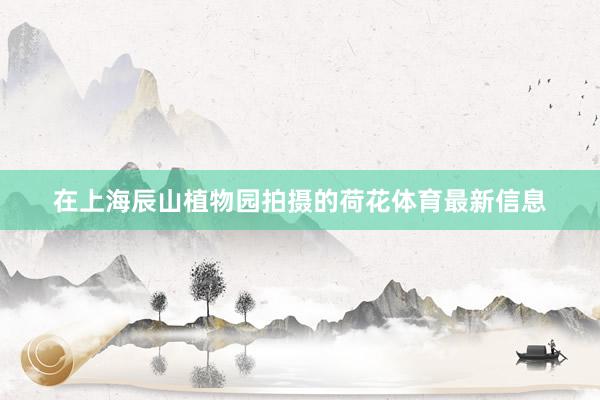 在上海辰山植物园拍摄的荷花体育最新信息