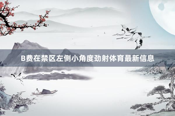 B费在禁区左侧小角度劲射体育最新信息