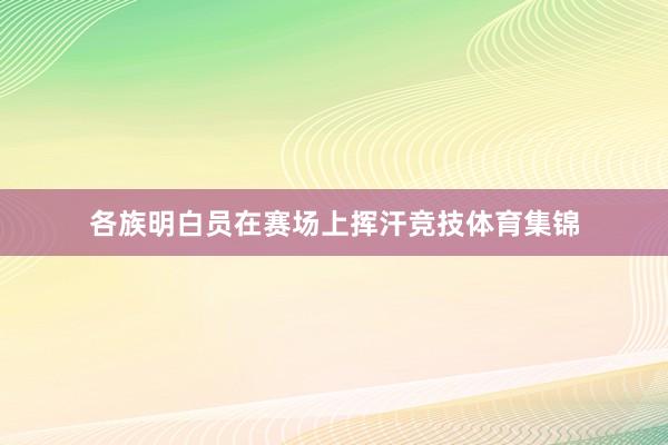 各族明白员在赛场上挥汗竞技体育集锦