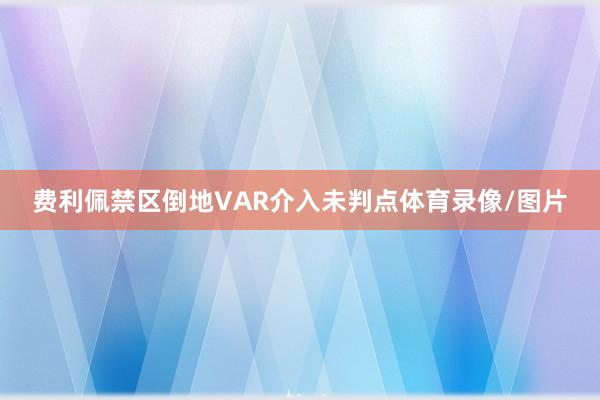 费利佩禁区倒地VAR介入未判点体育录像/图片