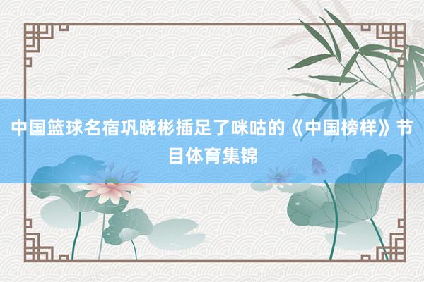 中国篮球名宿巩晓彬插足了咪咕的《中国榜样》节目体育集锦