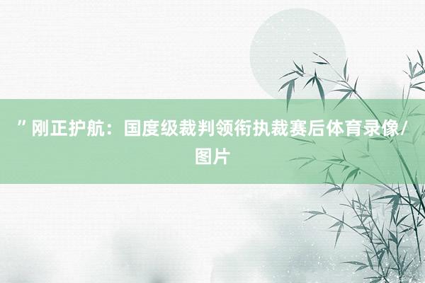 ”刚正护航：国度级裁判领衔执裁赛后体育录像/图片