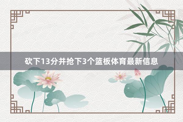 砍下13分并抢下3个篮板体育最新信息