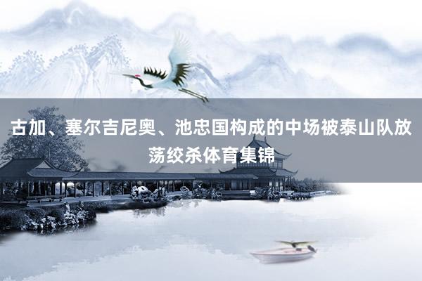古加、塞尔吉尼奥、池忠国构成的中场被泰山队放荡绞杀体育集锦