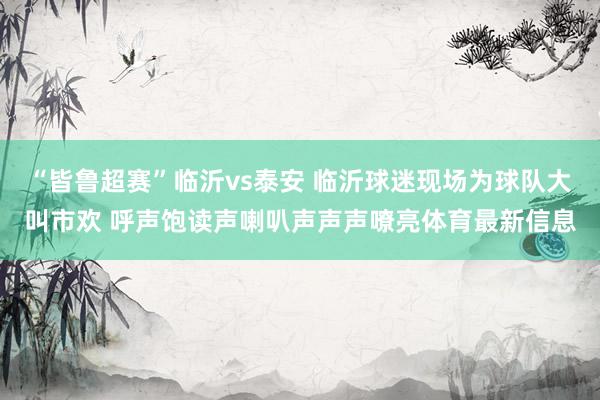 “皆鲁超赛”临沂vs泰安 临沂球迷现场为球队大叫市欢 呼声饱读声喇叭声声声嘹亮体育最新信息