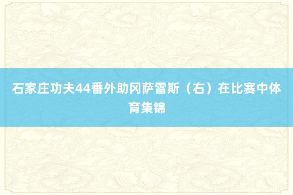 石家庄功夫44番外助冈萨雷斯（右）在比赛中体育集锦