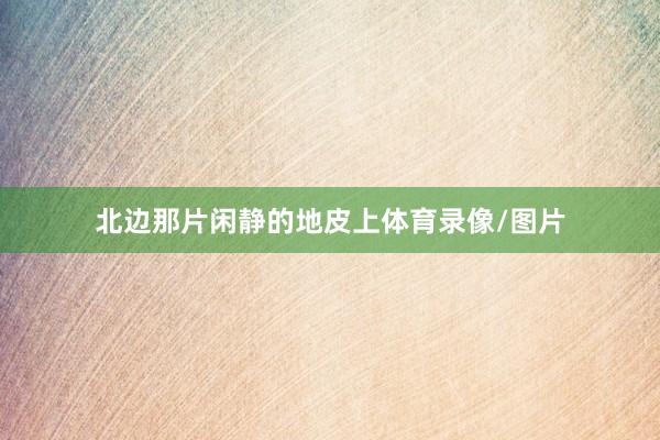 北边那片闲静的地皮上体育录像/图片