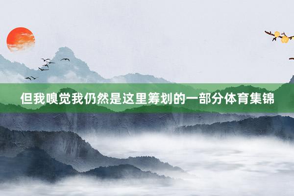 但我嗅觉我仍然是这里筹划的一部分体育集锦