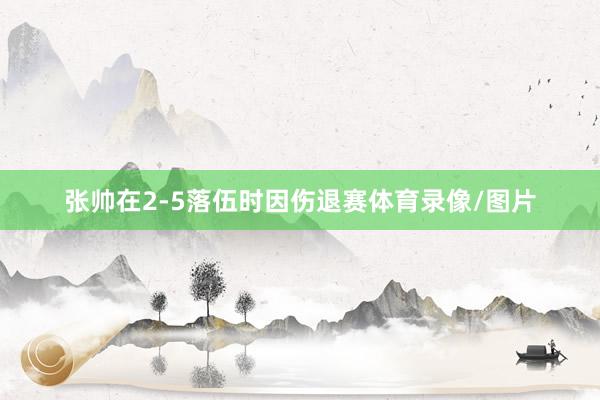 张帅在2-5落伍时因伤退赛体育录像/图片