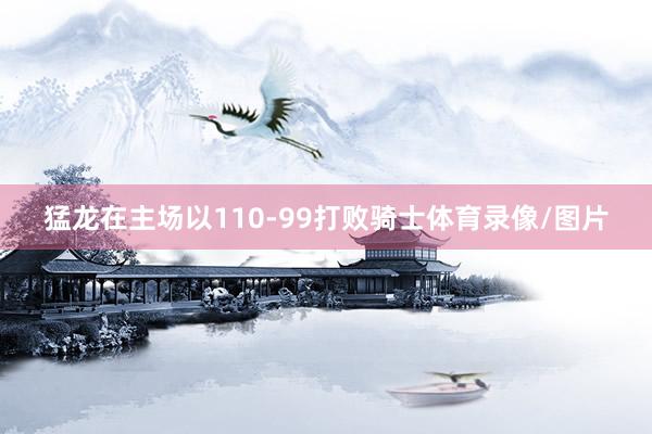 猛龙在主场以110-99打败骑士体育录像/图片