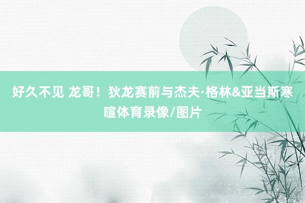 好久不见 龙哥！狄龙赛前与杰夫·格林&亚当斯寒暄体育录像/图片