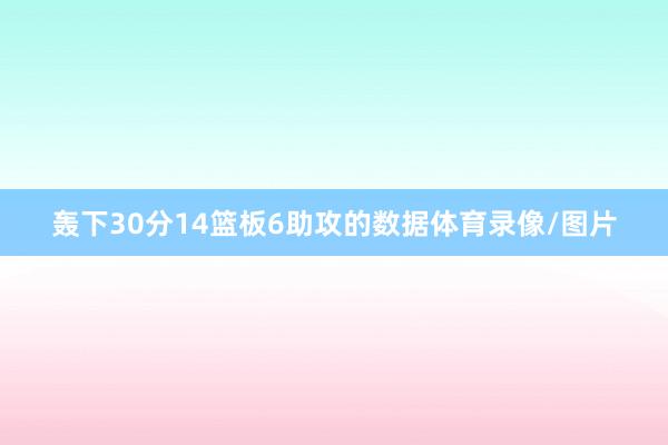 轰下30分14篮板6助攻的数据体育录像/图片