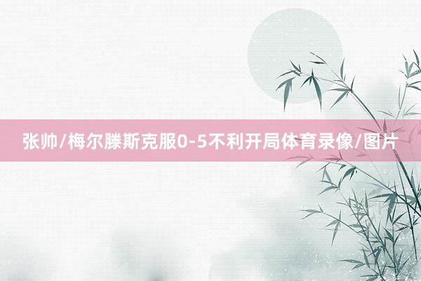 张帅/梅尔滕斯克服0-5不利开局体育录像/图片