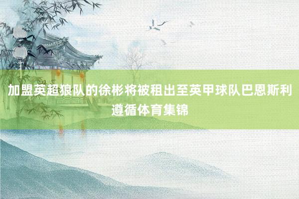 加盟英超狼队的徐彬将被租出至英甲球队巴恩斯利遵循体育集锦