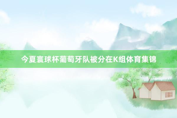 今夏寰球杯葡萄牙队被分在K组体育集锦