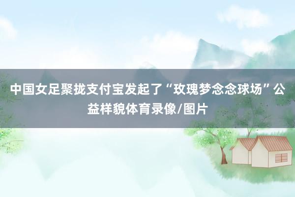 中国女足聚拢支付宝发起了“玫瑰梦念念球场”公益样貌体育录像/图片