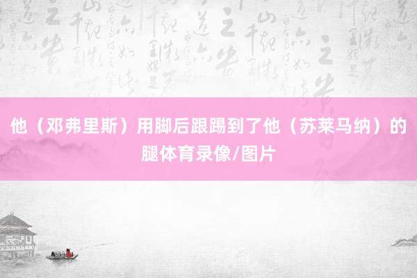 他（邓弗里斯）用脚后跟踢到了他（苏莱马纳）的腿体育录像/图片