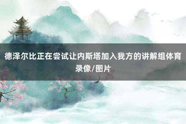 德泽尔比正在尝试让内斯塔加入我方的讲解组体育录像/图片