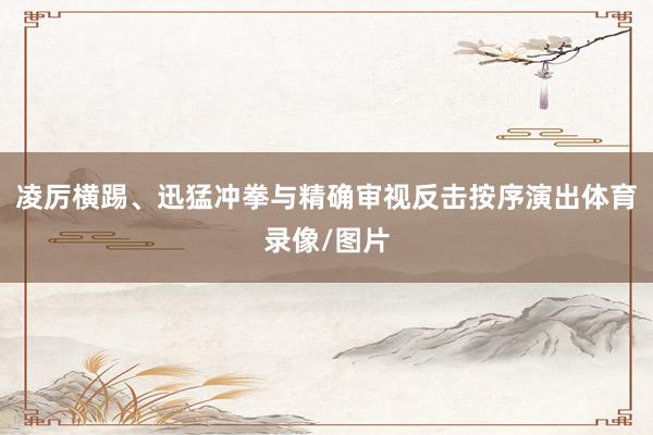 凌厉横踢、迅猛冲拳与精确审视反击按序演出体育录像/图片