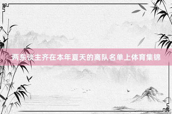 两东谈主齐在本年夏天的离队名单上体育集锦
