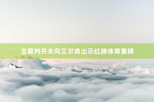 主裁判并未向艾尔肯出示红牌体育集锦