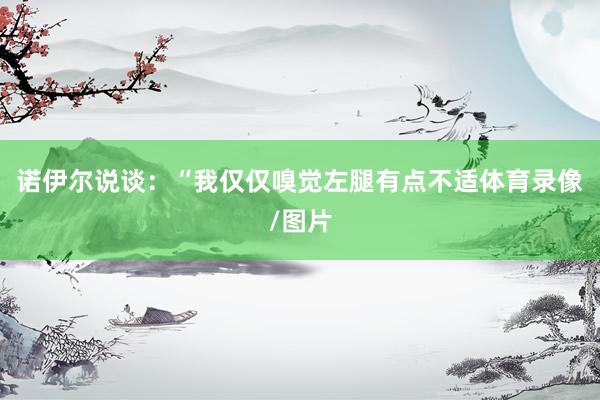 诺伊尔说谈：“我仅仅嗅觉左腿有点不适体育录像/图片