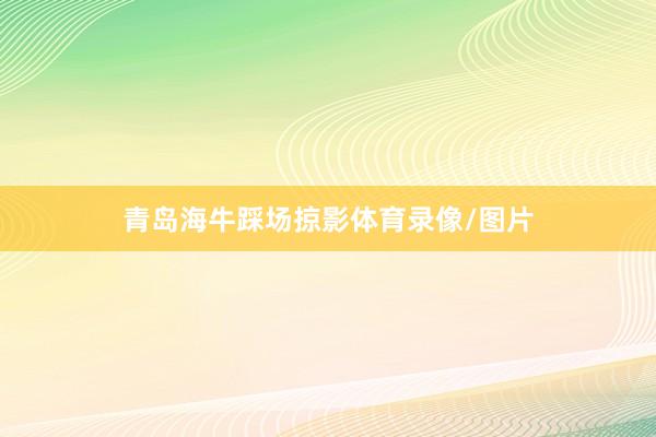 青岛海牛踩场掠影体育录像/图片