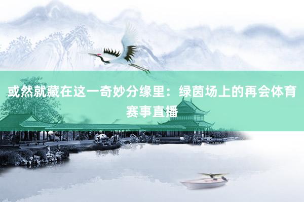 或然就藏在这一奇妙分缘里:绿茵场上的再会体育赛事直播