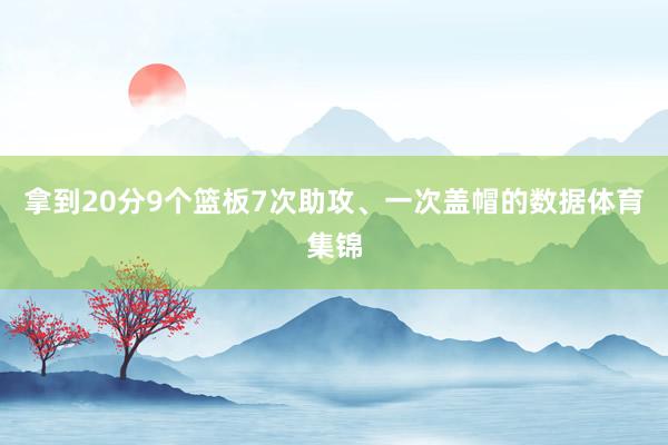 拿到20分9个篮板7次助攻、一次盖帽的数据体育集锦