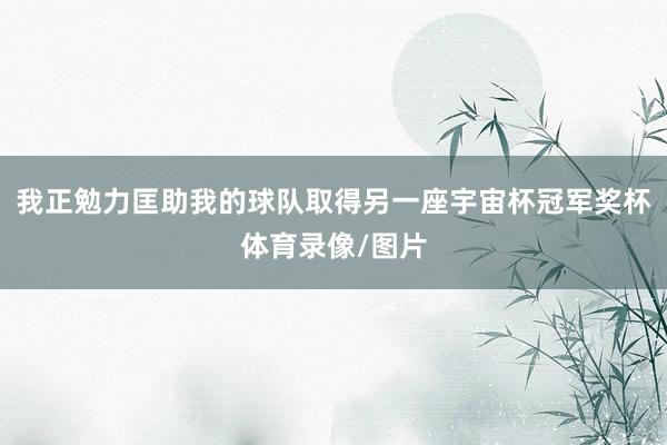 我正勉力匡助我的球队取得另一座宇宙杯冠军奖杯体育录像/图片